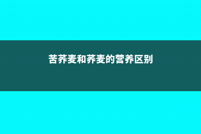 苦荞麦和荞麦的区别 (苦荞麦和荞麦的营养区别)