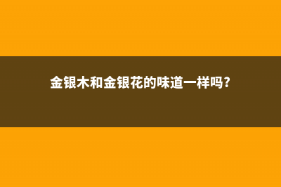 金银木和金银花的区别 (金银木和金银花的味道一样吗?)