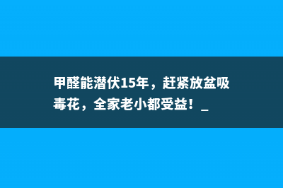 甲醛能潜伏15年，赶紧放盆吸毒花，全家老小都受益！ 