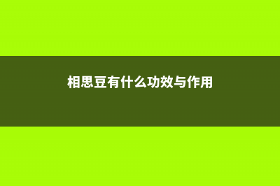 相思子和相思豆的区别 (相思豆有什么功效与作用)