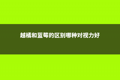 越橘和蓝莓的区别 (越橘和蓝莓的区别哪种对视力好)