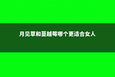 月见草和蔓越莓的区别 (月见草和蔓越莓哪个更适合女人)