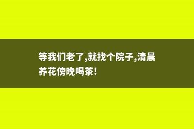 等我们老了，就这样安度晚年！ (等我们老了,就找个院子,清晨养花傍晚喝茶!)