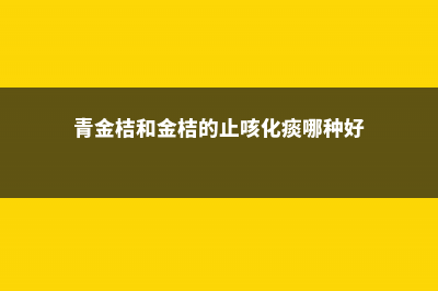 青金桔和金桔的区别 (青金桔和金桔的止咳化痰哪种好)