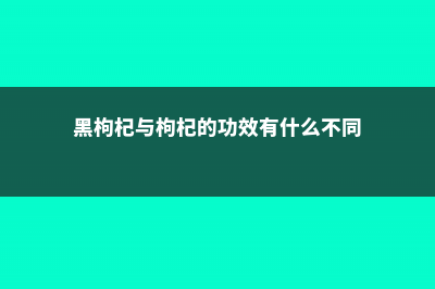 黑枸杞与枸杞的区别 (黑枸杞与枸杞的功效有什么不同)