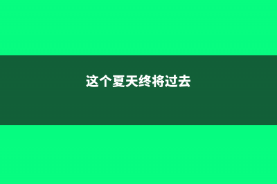 致这个夏天，被我们养死的花，养花坑里还要再跳100回！ (这个夏天终将过去)