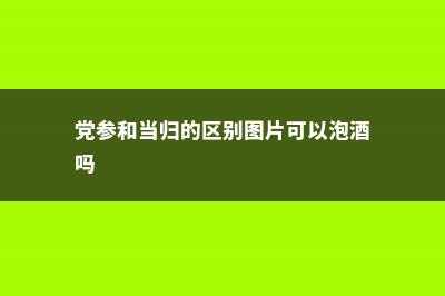 党参和当归的区别 (党参和当归的区别图片可以泡酒吗)