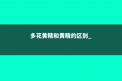 多花黄精和黄精的区别 