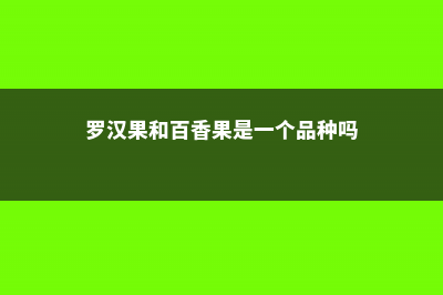 罗汉果和百香果的区别 (罗汉果和百香果是一个品种吗)