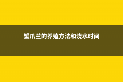 蟹爪兰的养殖方法和注意事项 (蟹爪兰的养殖方法和浇水时间)