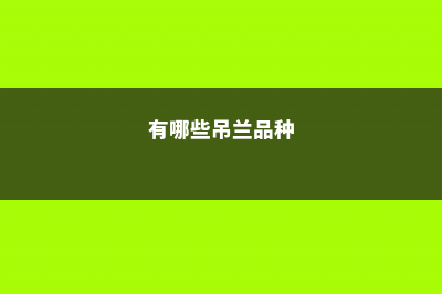 这10种吊兰，8亿中国人都见过，别说你还不会养！ (有哪些吊兰品种)