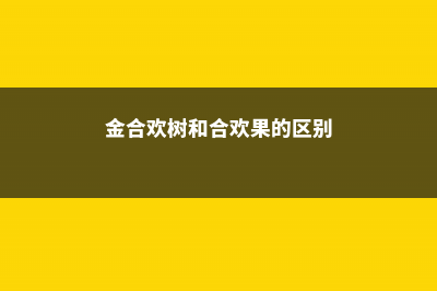 金合欢树和合欢树的区别 (金合欢树和合欢果的区别)