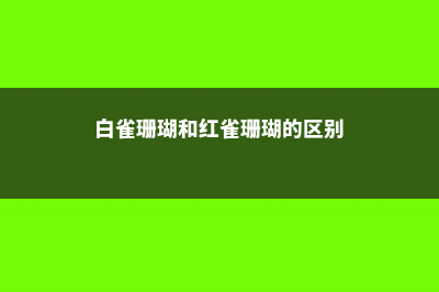 白雀珊瑚和红雀珊瑚的区别 (白雀珊瑚和红雀珊瑚的区别)