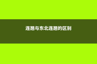 东北连翘和连翘的区别 (连翘与东北连翘的区别)