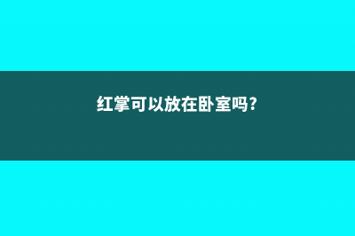 红掌能放在卧室吗 (红掌可以放在卧室吗?)