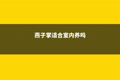 燕子掌适合室内养殖吗 (燕子掌适合室内养吗)