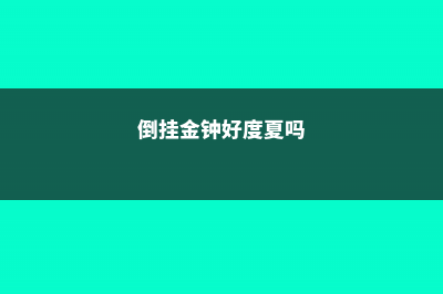 倒挂金钟适合上什么肥 (倒挂金钟好度夏吗)