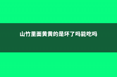 山竹里面黄黄的是什么 (山竹里面黄黄的是坏了吗能吃吗)