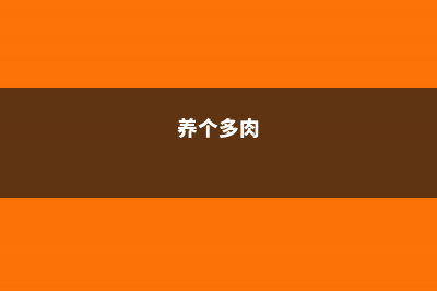 小伙把多肉养成手捧花，1棵上面爆30朵花头，价格翻了200倍！ (养个多肉)