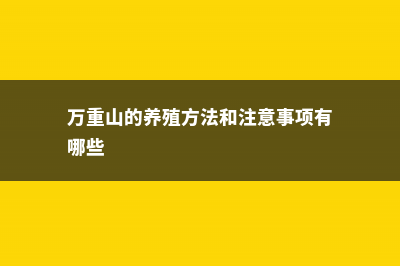 万重山的养殖方法 (万重山的养殖方法和注意事项有哪些)