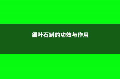 如何辨别细叶石仙桃 (细叶石斛的功效与作用)