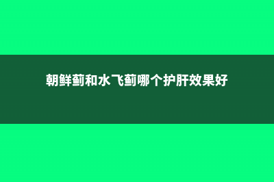 朝鲜蓟和水飞蓟的区别 (朝鲜蓟和水飞蓟哪个护肝效果好)