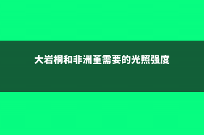 大岩桐和非洲堇的区别 (大岩桐和非洲堇需要的光照强度)