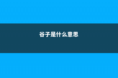 谷子是什么 (谷子是什么意思)