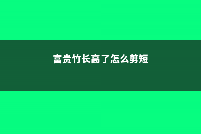 富贵竹长高了怎么办 (富贵竹长高了怎么剪短)