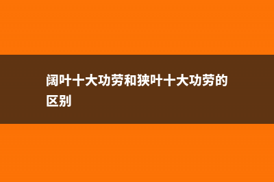 阔叶十大功劳和十大功劳的区别 (阔叶十大功劳和狭叶十大功劳的区别)