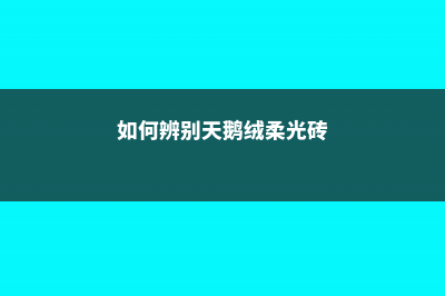 如何辨别天鹅绒竹芋 (如何辨别天鹅绒柔光砖)