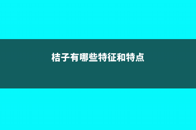 桔子有哪些特征 (桔子有哪些特征和特点)