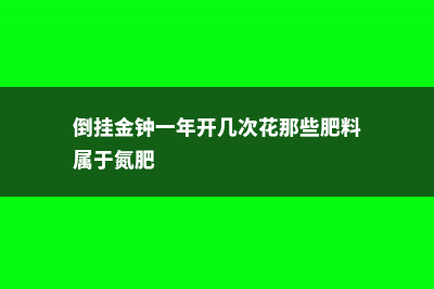 倒挂金钟一年开几次花 (倒挂金钟一年开几次花那些肥料属于氮肥)