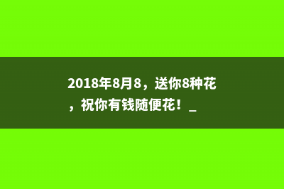 2018年8月8，送你8种花，祝你有钱随便花！ 