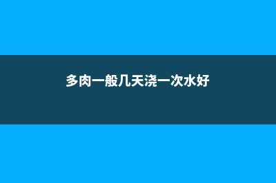 多肉一般几天浇一次水 (多肉一般几天浇一次水好)