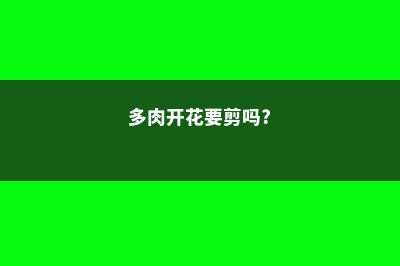 多肉花开了要剪掉吗 (多肉开花要剪吗?)