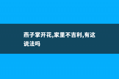 燕子掌会开花吗 (燕子掌开花,家里不吉利,有这说法吗)