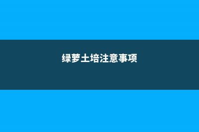 土培绿萝几天浇一次水 (绿萝土培注意事项)