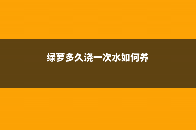 绿萝多久浇一次啤酒 (绿萝多久浇一次水如何养)