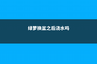 绿萝换盆后要不要浇水 (绿萝换盆之后浇水吗)