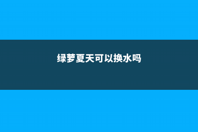 绿萝夏天可以换盆吗 (绿萝夏天可以换水吗)