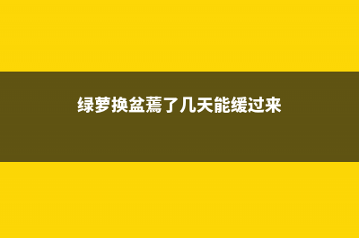 绿萝换盆后蔫了会死吗 (绿萝换盆蔫了几天能缓过来)