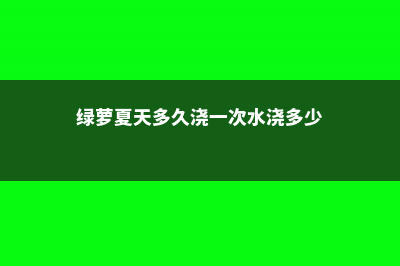 绿萝夏天多久浇一次水 (绿萝夏天多久浇一次水浇多少)