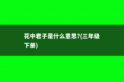 花中君子是什么花 (花中君子是什么意思?(三年级下册))