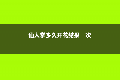 仙人掌多久开花一次 (仙人掌多久开花结果一次)