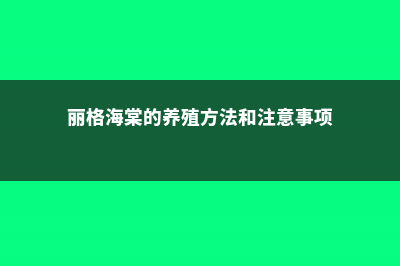 丽格海棠的养殖方法 (丽格海棠的养殖方法和注意事项)