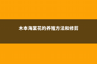 木本海棠花的养殖方法 (木本海棠花的养殖方法和修剪)