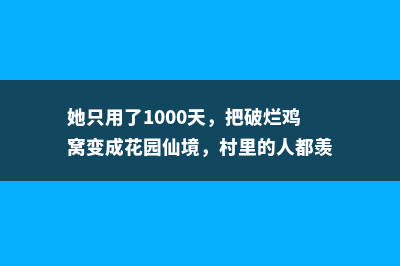 她只用了1000天，把破烂鸡窝变成花园仙境，村里的人都羡慕！ 