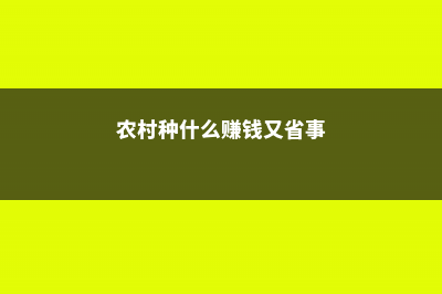 农村种什么赚钱 (农村种什么赚钱又省事)