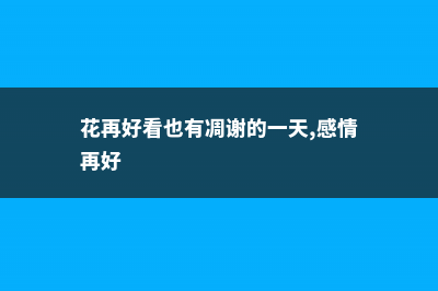 这花再好看也别养，落地生根就疯长，简直就是生物入侵！ (花再好看也有凋谢的一天,感情再好)